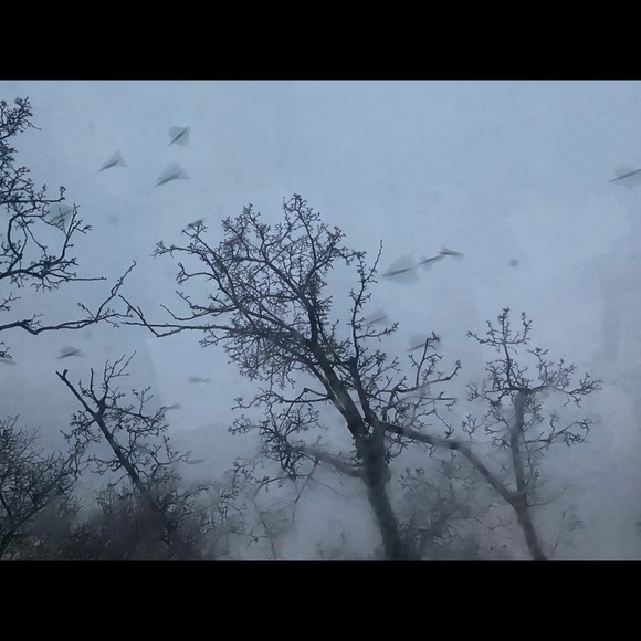 Meet your Posher, Lidija - Picture 1 of 1